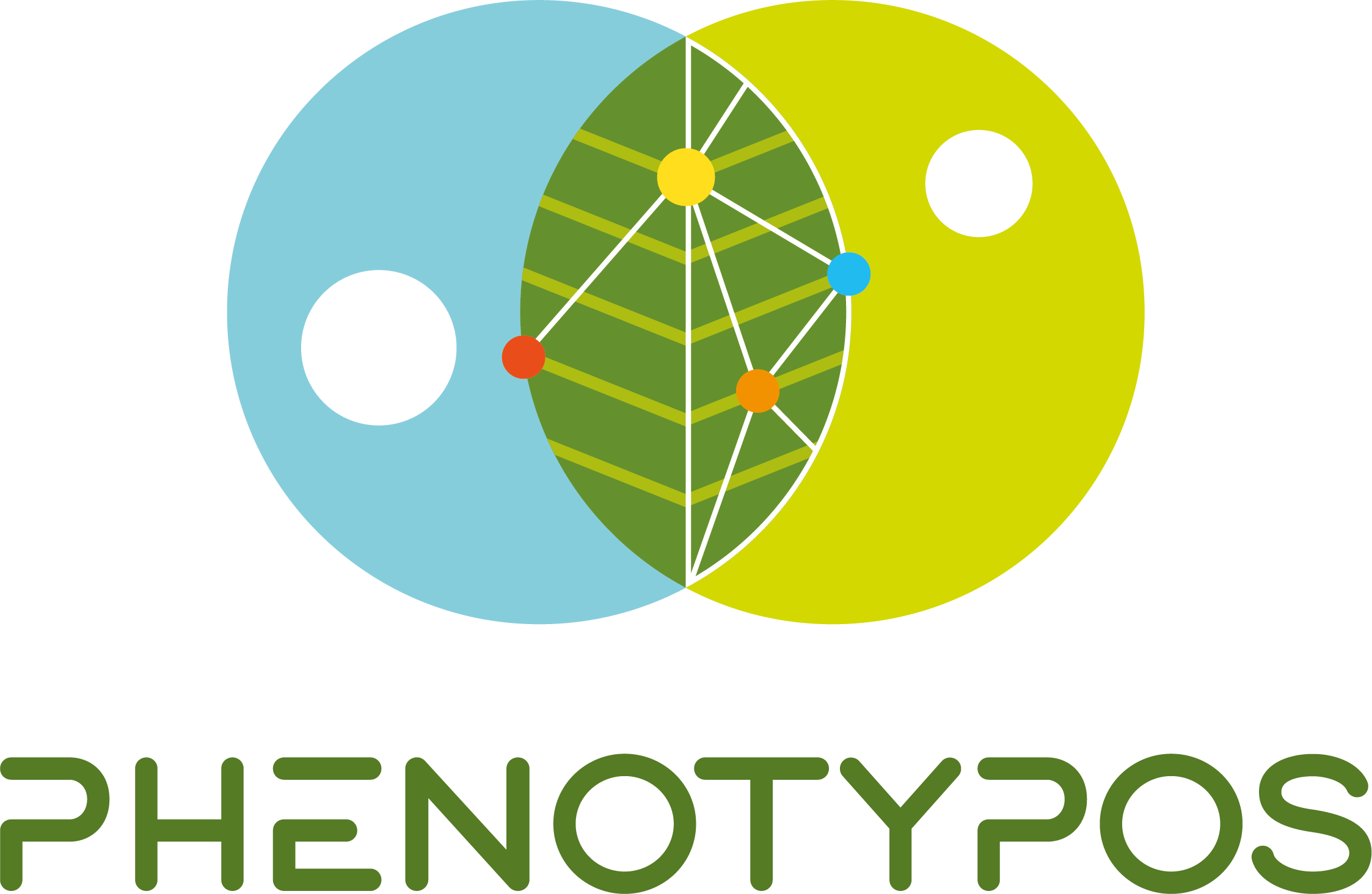 Phenotypos_logo_rgb_